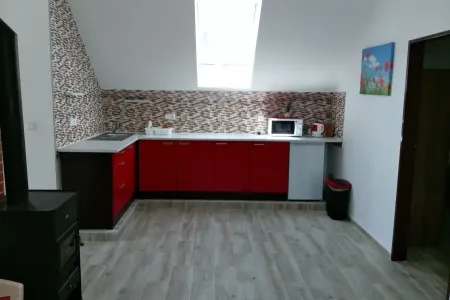 IMAG1344.webp
