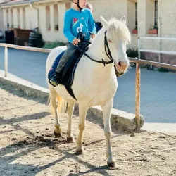 jizda-na-ponicich-hippoclub-lednice.webp